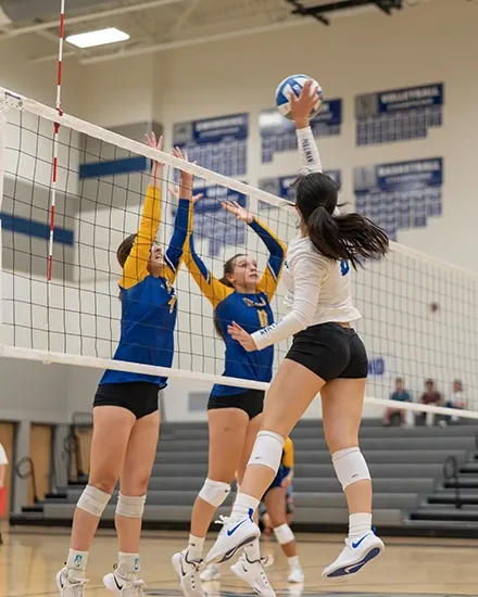 Pullman Greyhounds volleyball sports photography